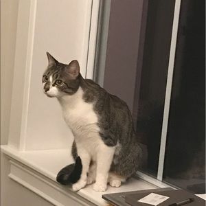 Meet your Posher, Dalton